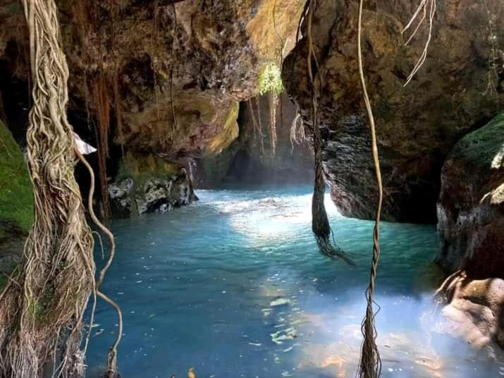 Pochote Lodge Guayabo  Eksteriør billede