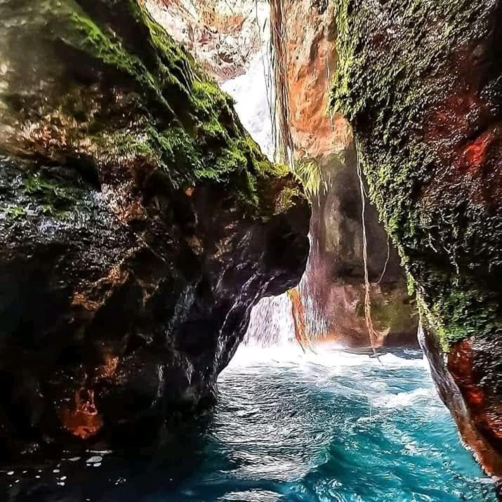 Pochote Lodge Guayabo  Eksteriør billede