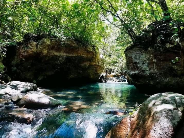 Pochote Lodge Guayabo  Eksteriør billede