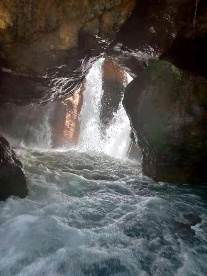 Pochote Lodge Guayabo  Eksteriør billede
