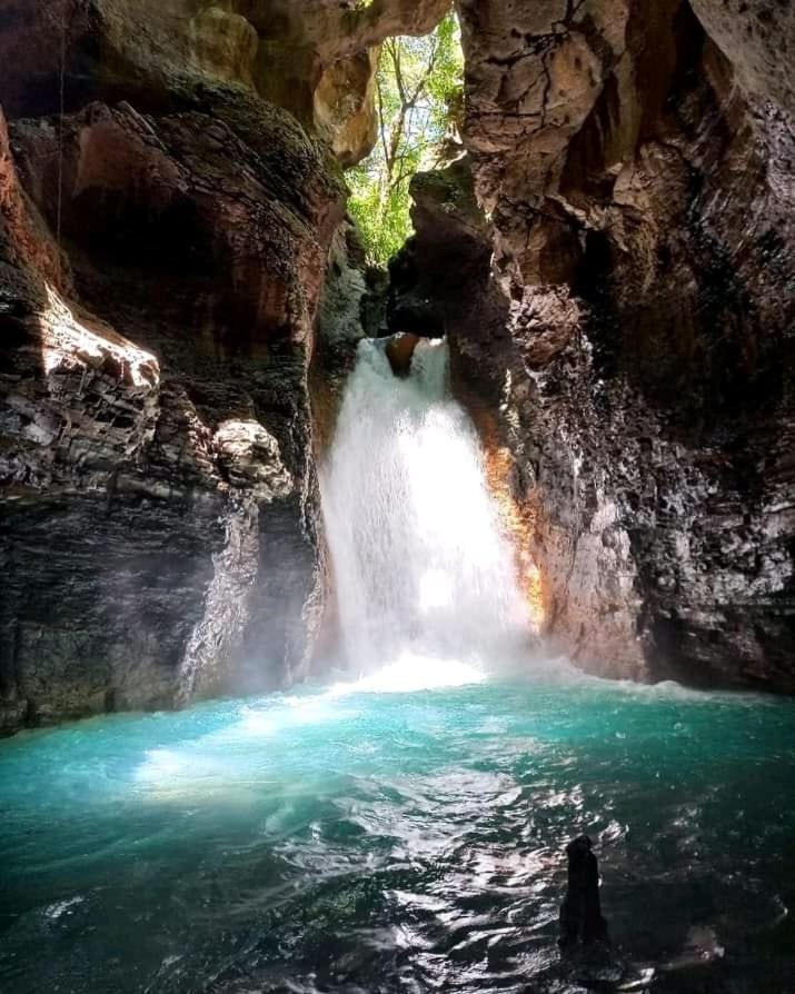 Pochote Lodge Guayabo  Eksteriør billede