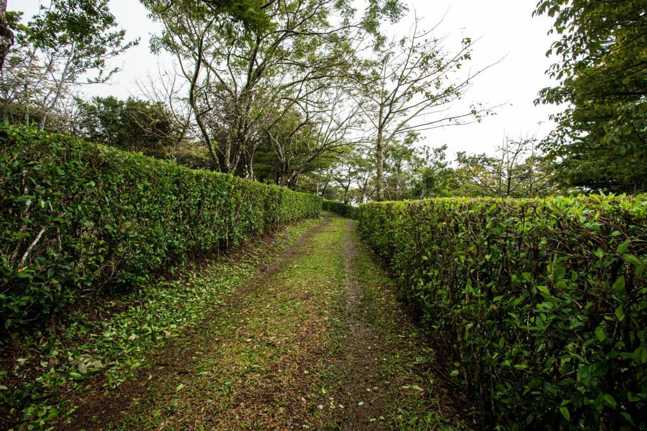 Pochote Lodge Guayabo  Eksteriør billede